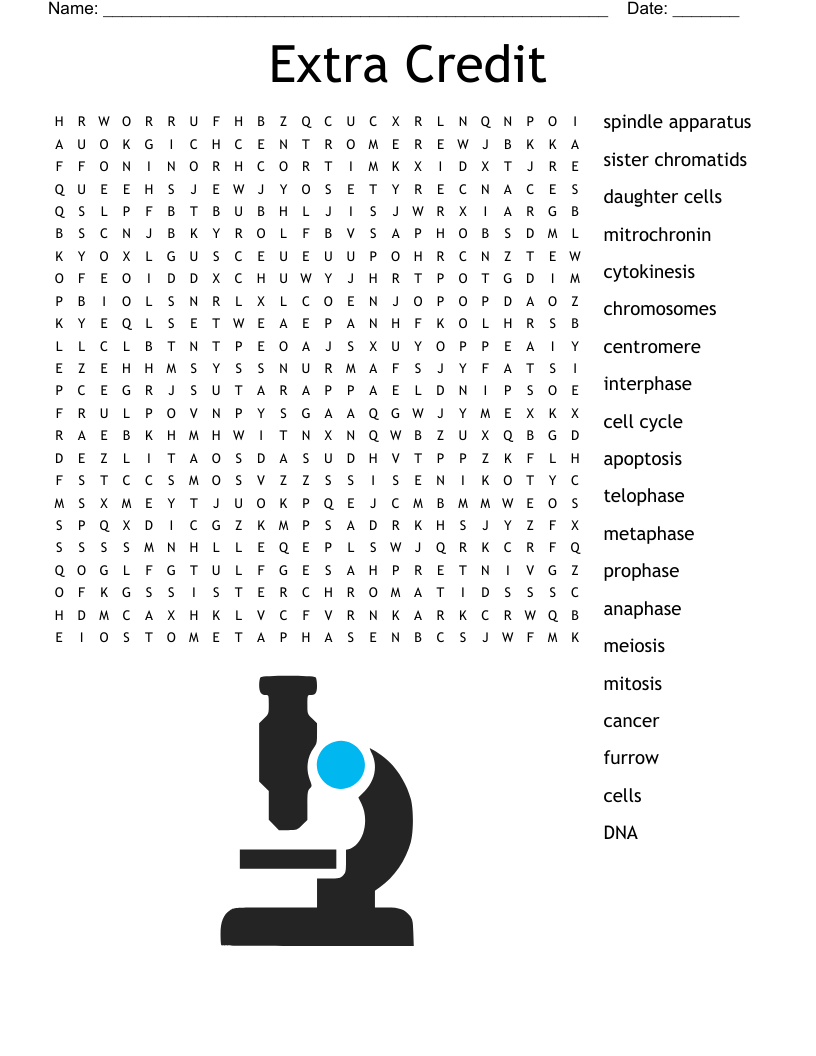Extra Credit Word Search