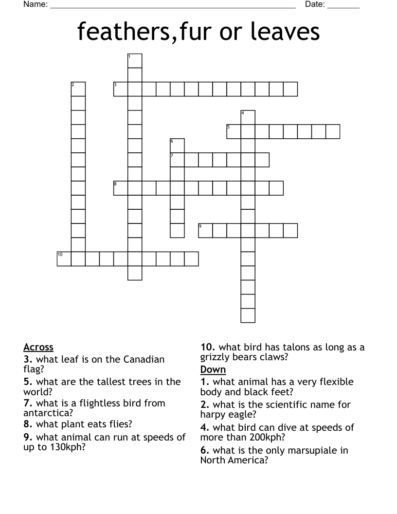 feathers,fur or leaves Crossword