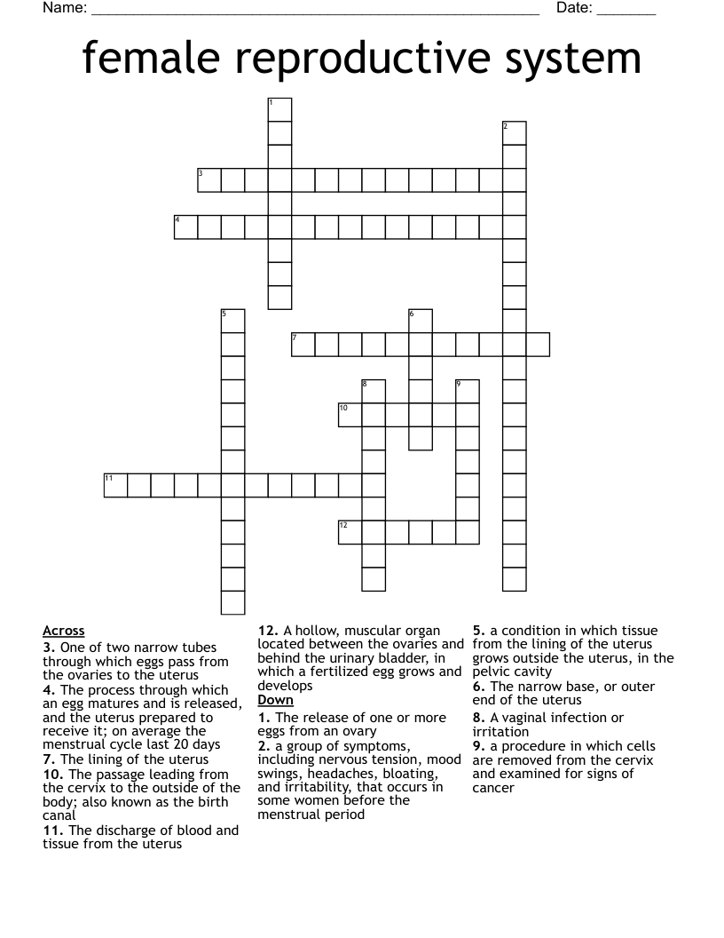 female reproductive system  Crossword