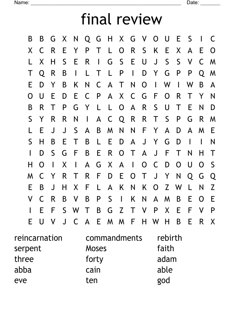 final review Word Search