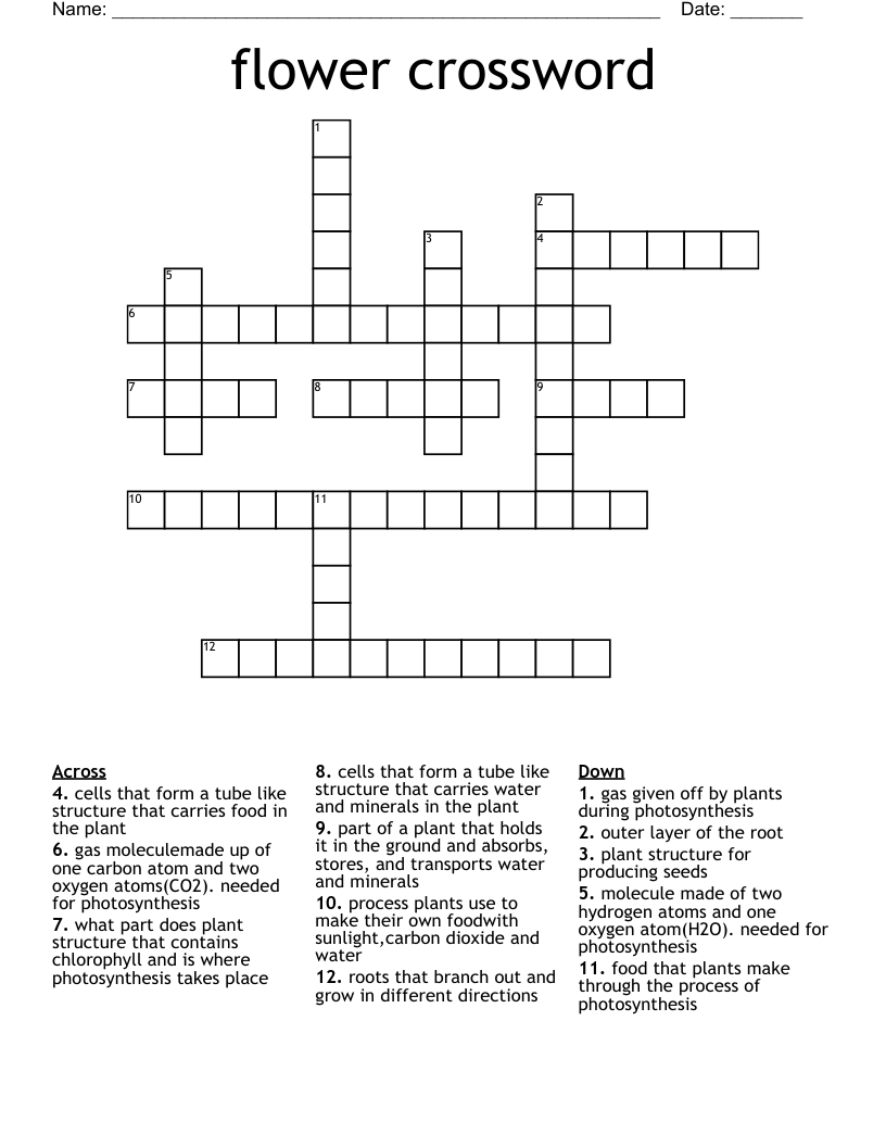 flower crossword