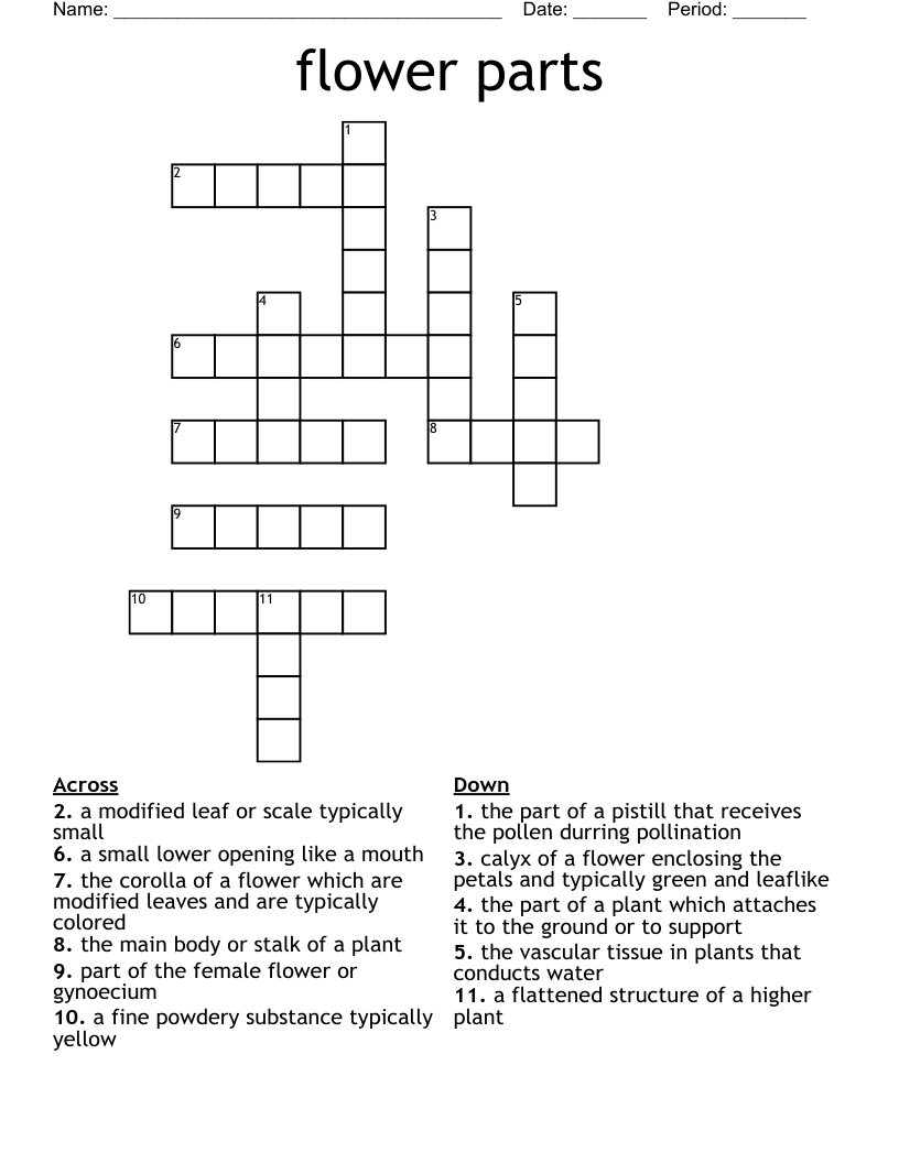 flower parts Crossword