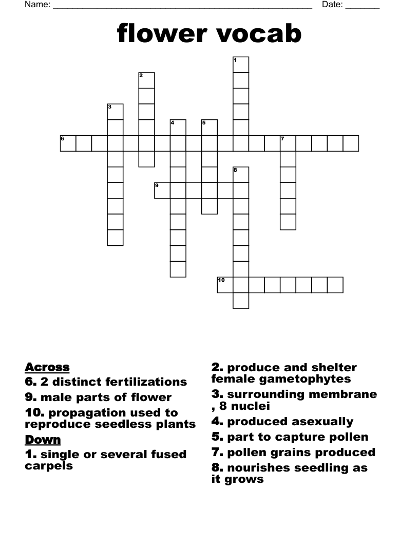 flower vocab Crossword