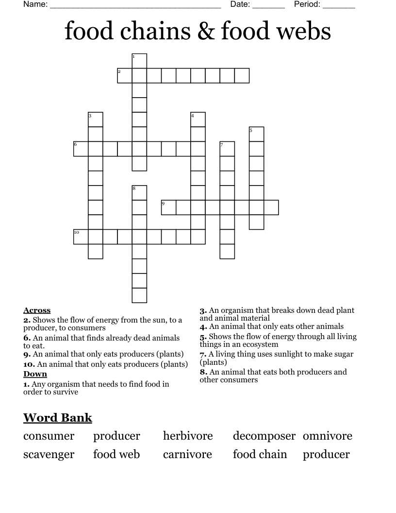 food chains & food webs  Crossword