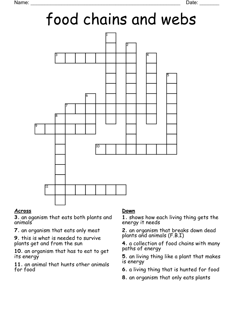 food chains and webs Crossword
