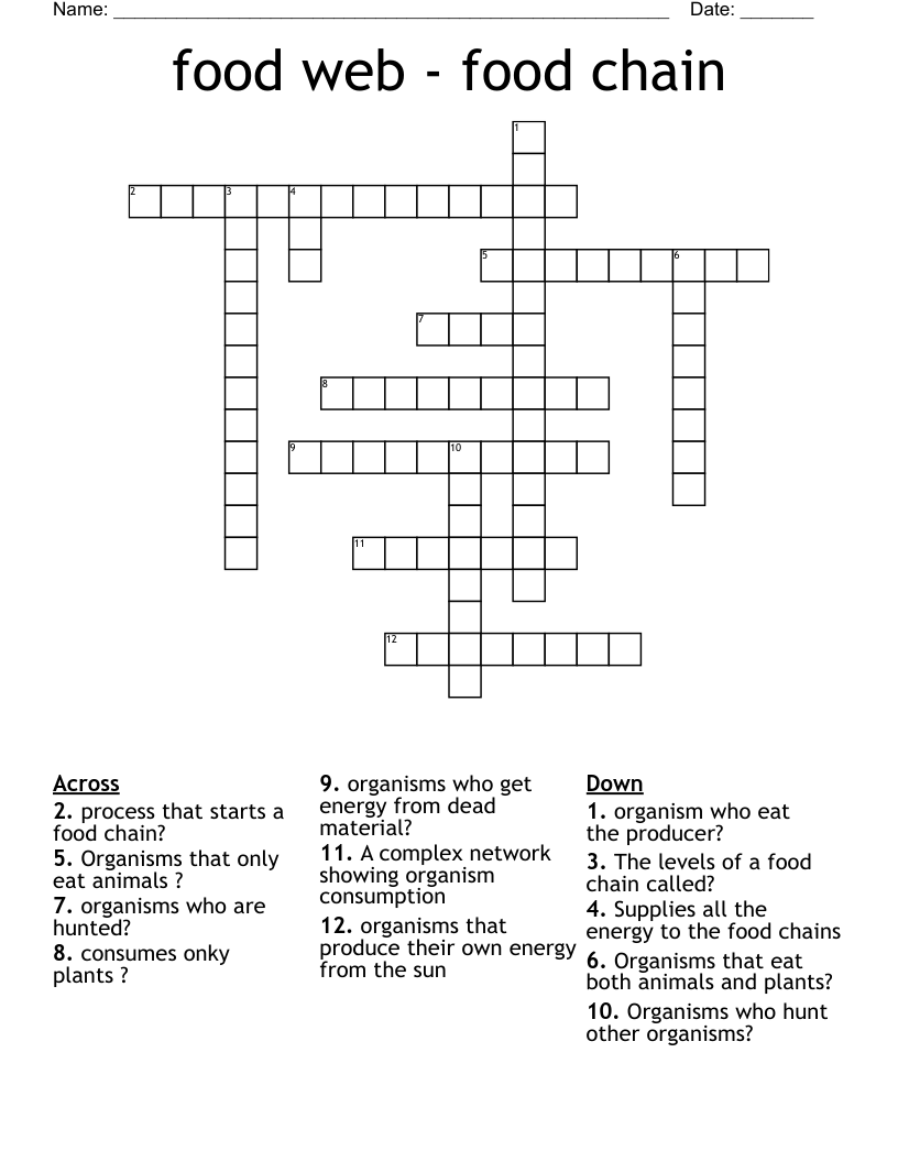 food web - food chain  Crossword