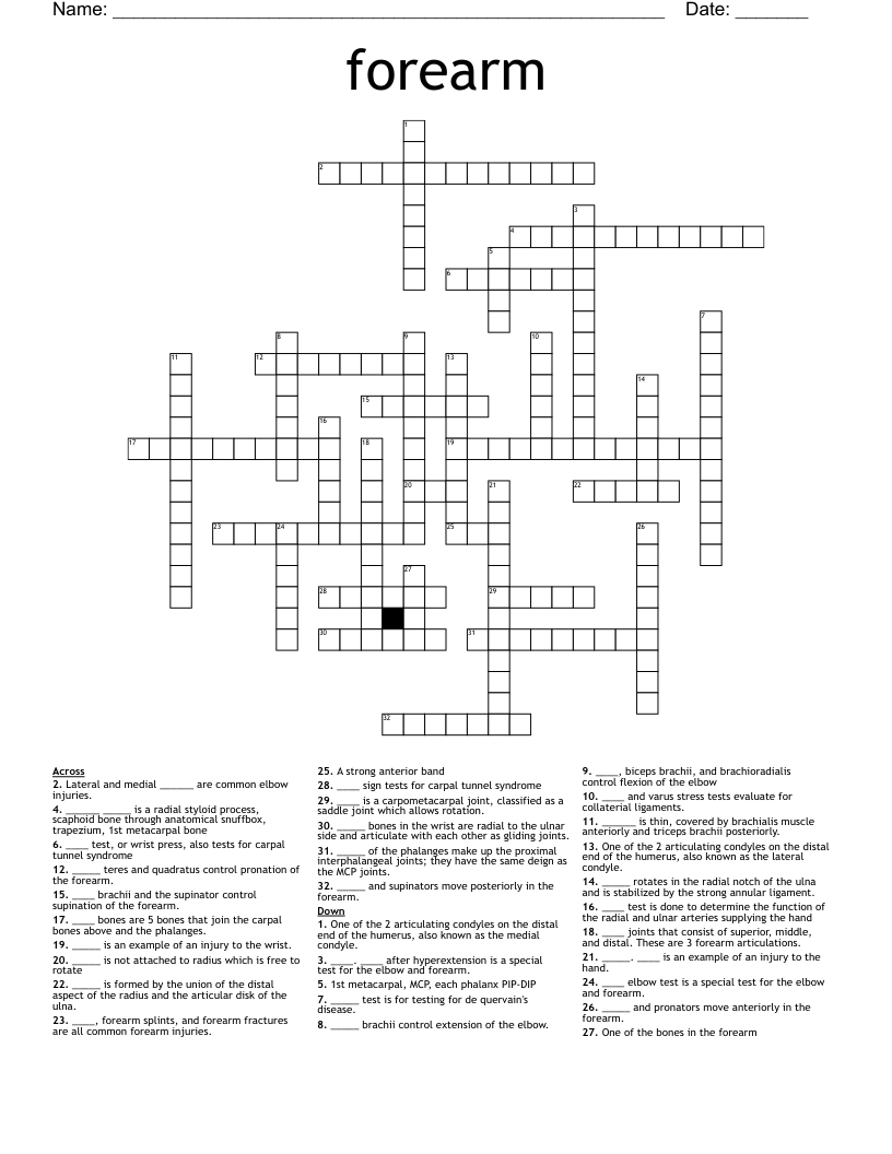 forearm Crossword