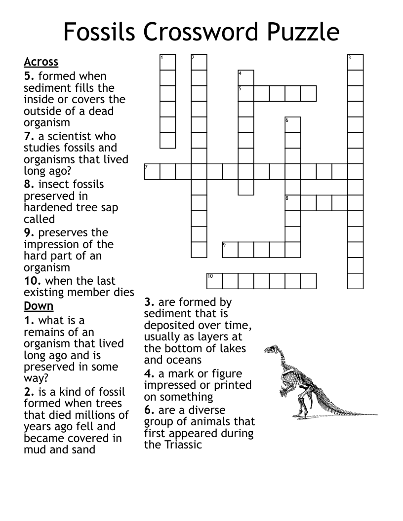 Fossils Crossword Puzzle 