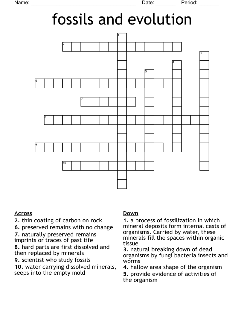 fossils and evolution Crossword