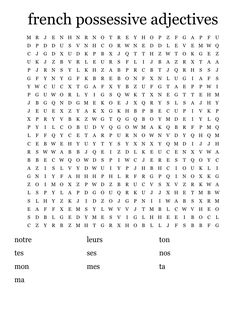 french possessive adjectives Word Search