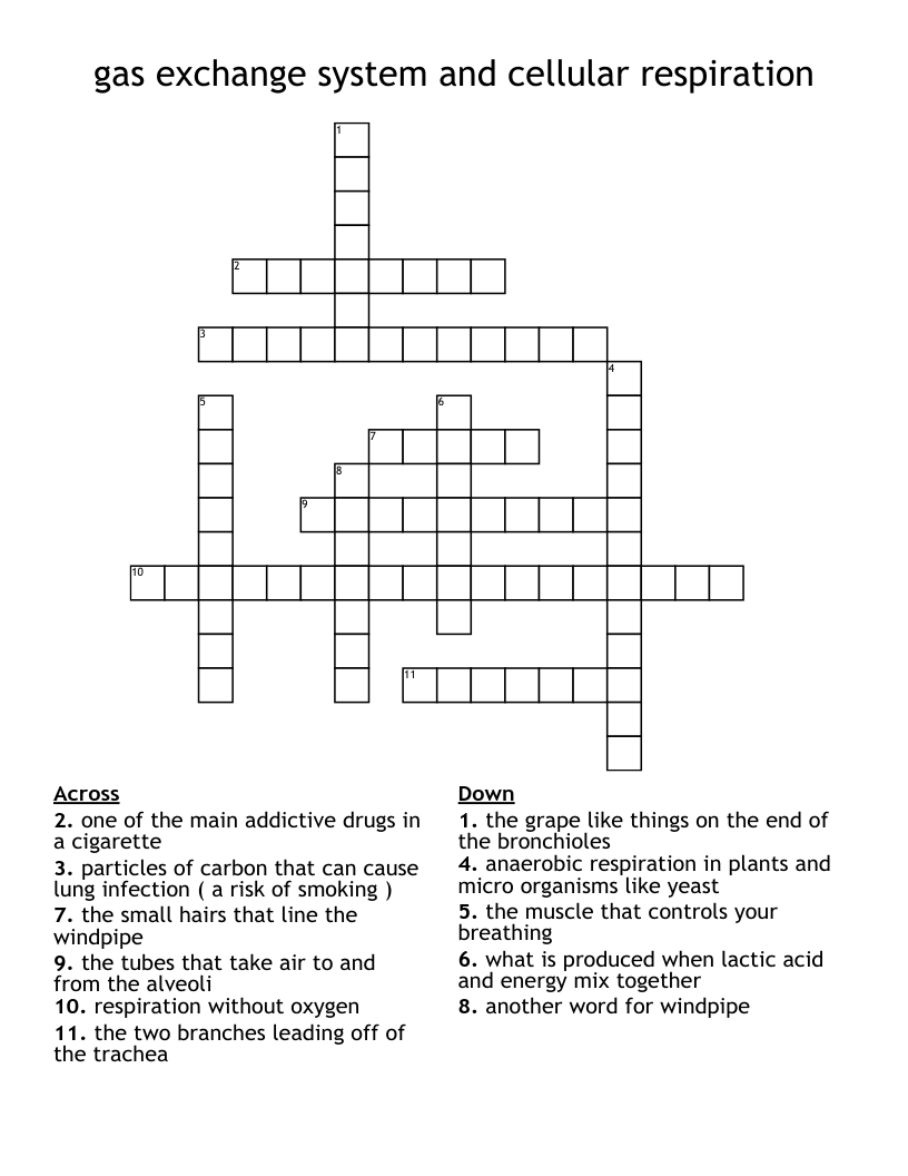 gas exchange system and cellular respiration Crossword