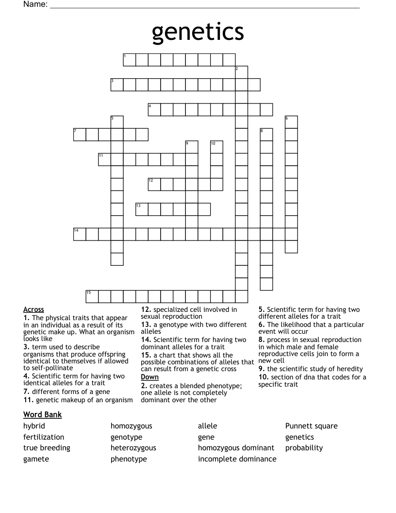 genetics Crossword