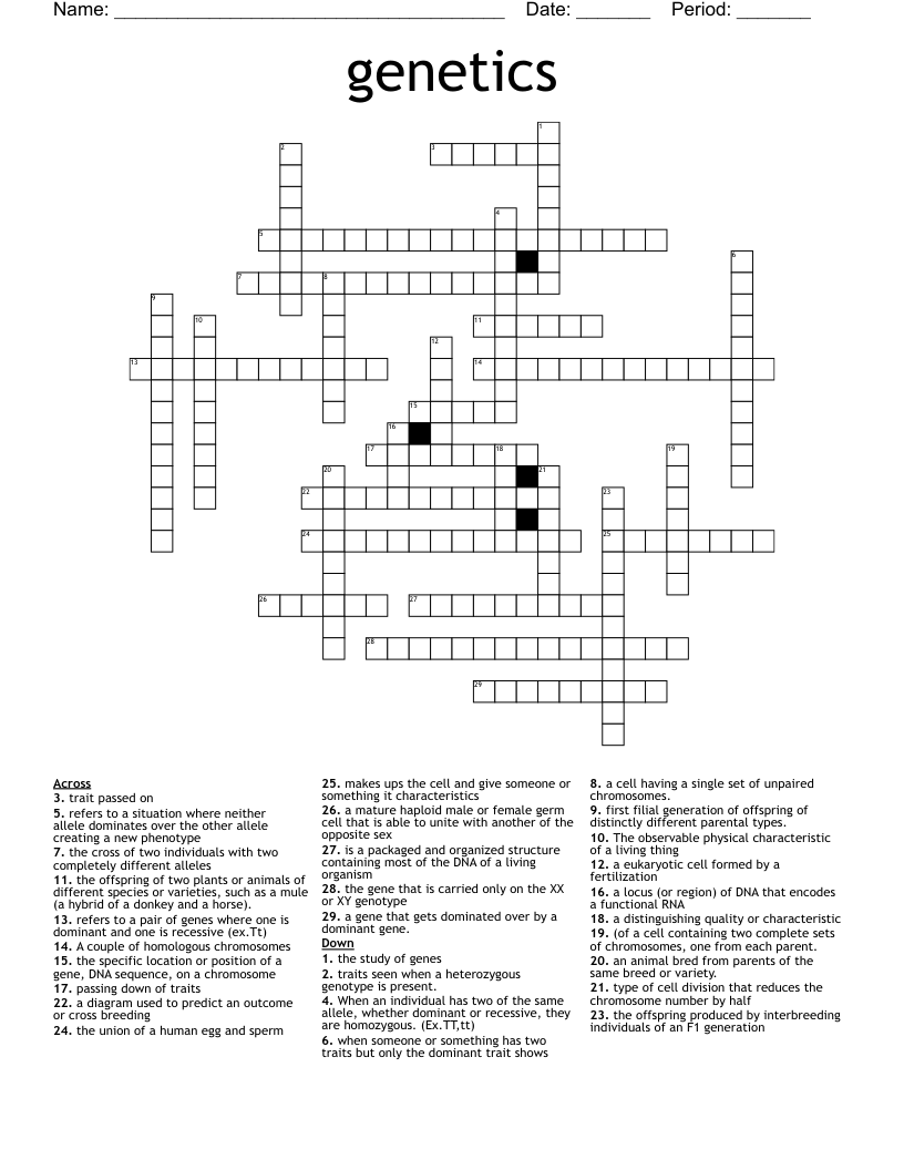 genetics Crossword
