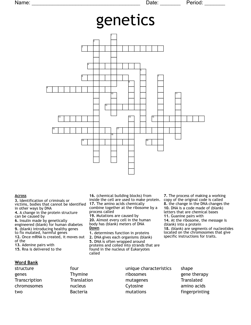 genetics  Crossword