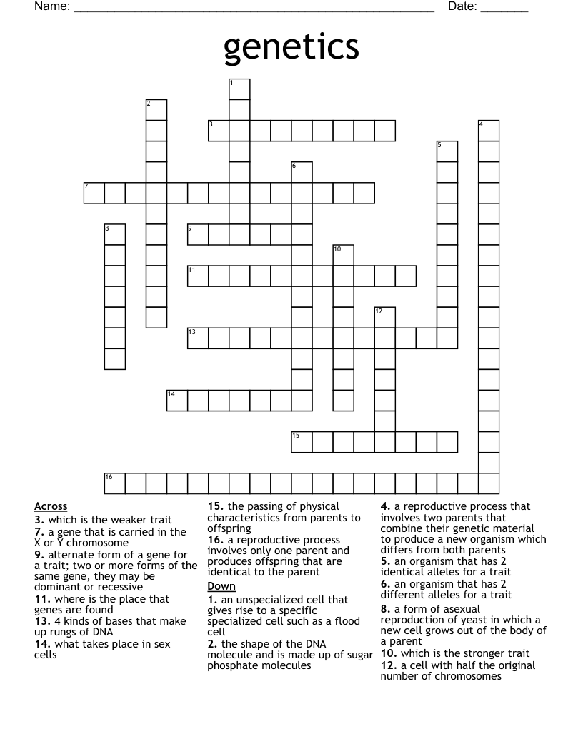 genetics  Crossword