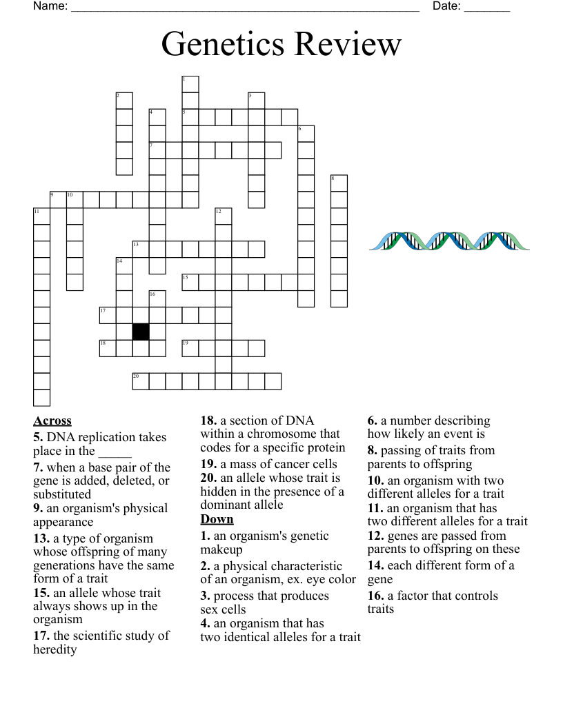 Genetics Review Crossword