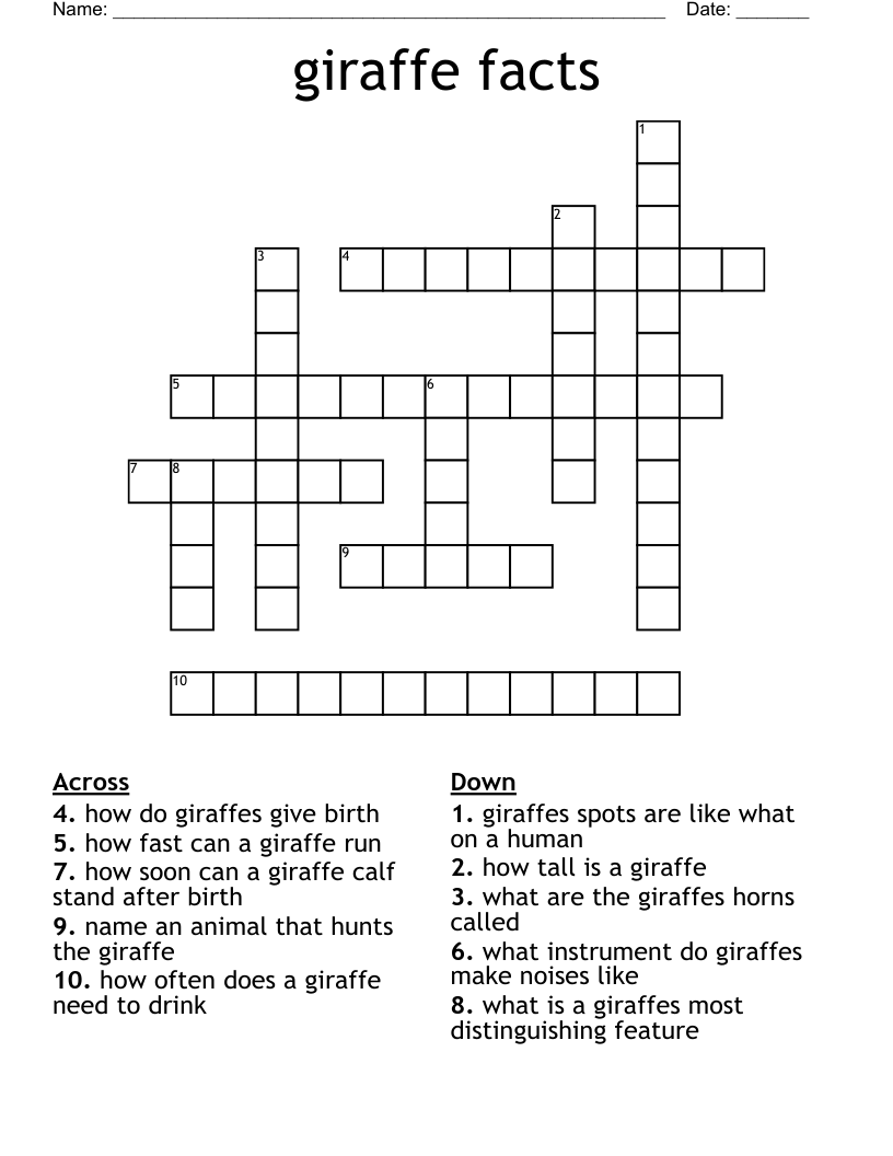 giraffe facts Crossword