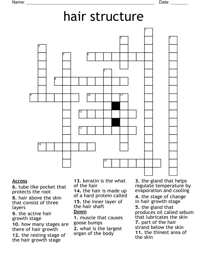 hair structure Crossword