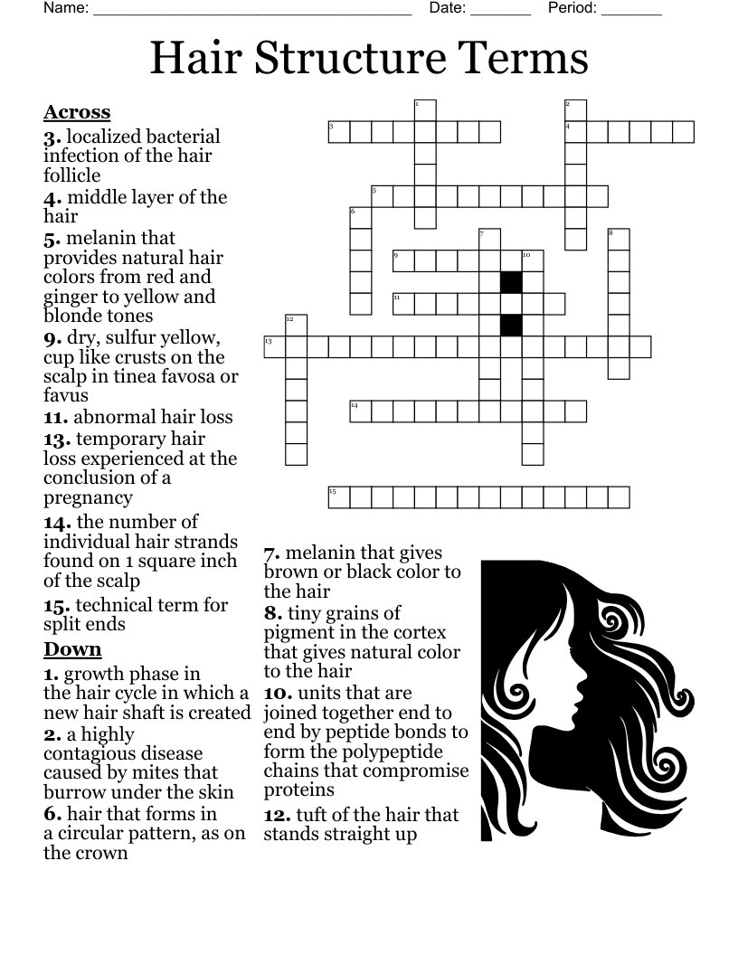 Hair Structure Terms Crossword