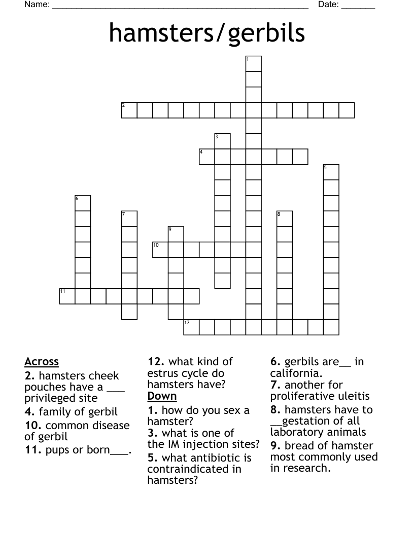 hamsters/gerbils  Crossword