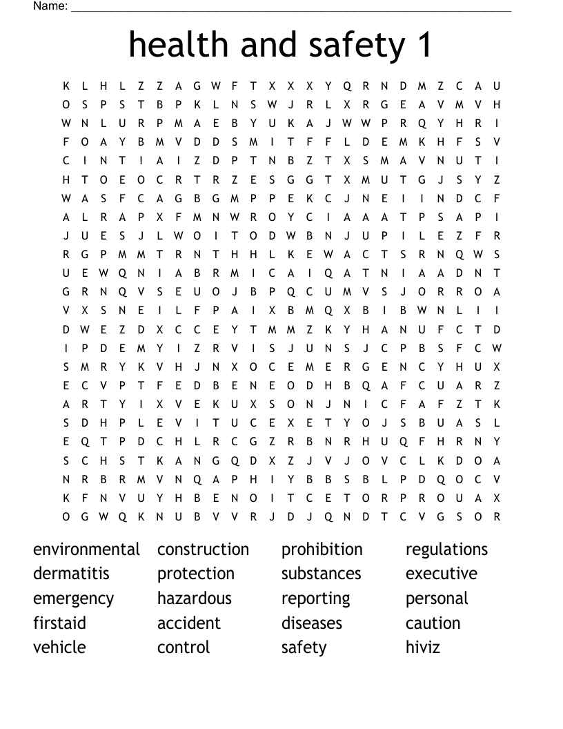 health and safety 1 Word Search