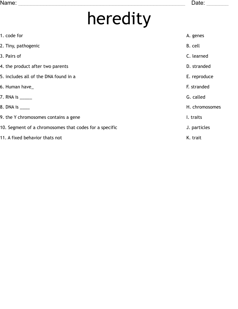 heredity  Worksheet