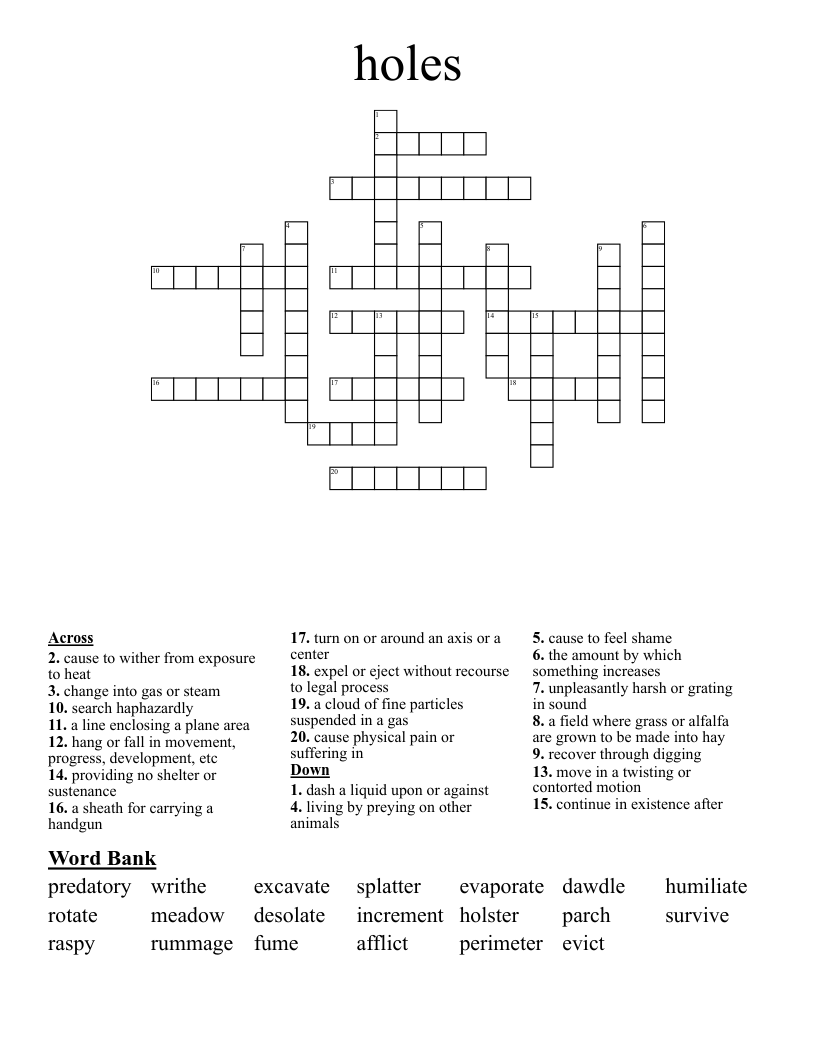 holes Crossword