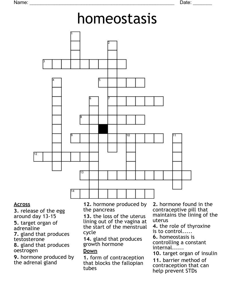 homeostasis Crossword