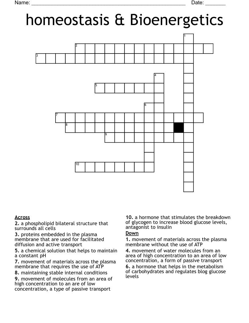 homeostasis & Bioenergetics Crossword