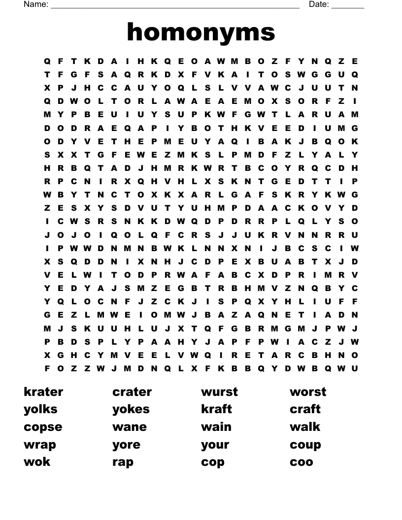 homonyms Word Search