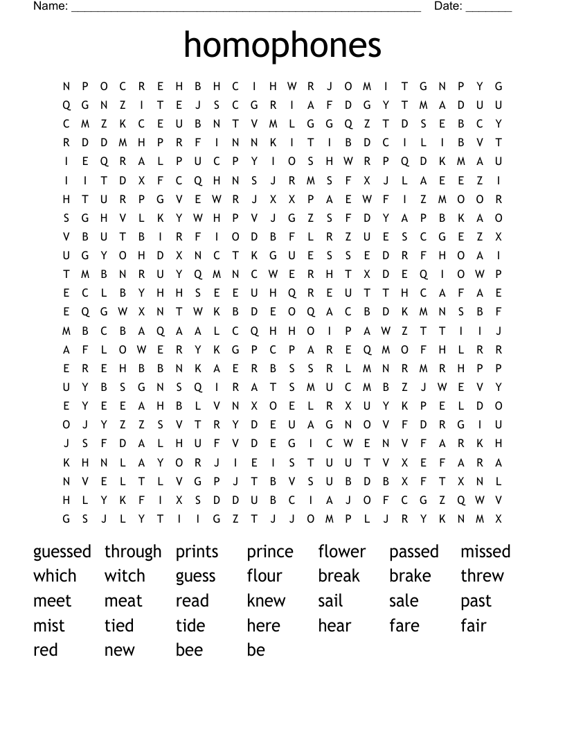 homophones  Word Search