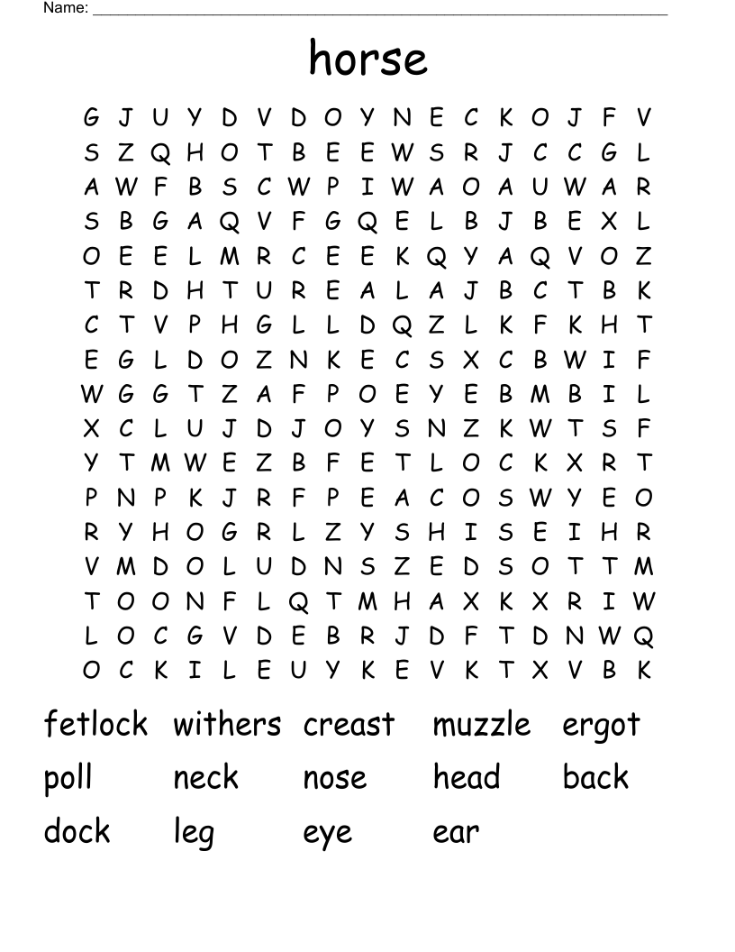 horse Word Search