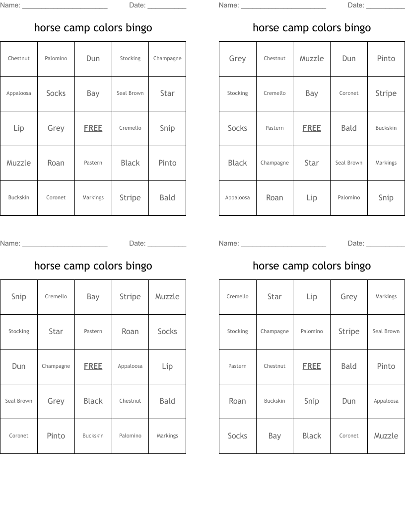 horse camp colors bingo