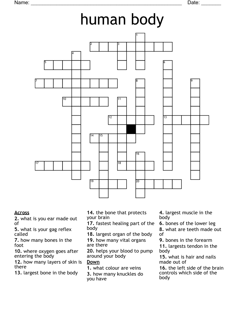human body Crossword
