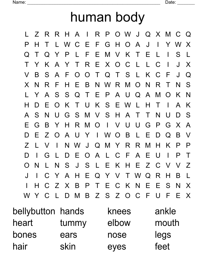 human body Word Search