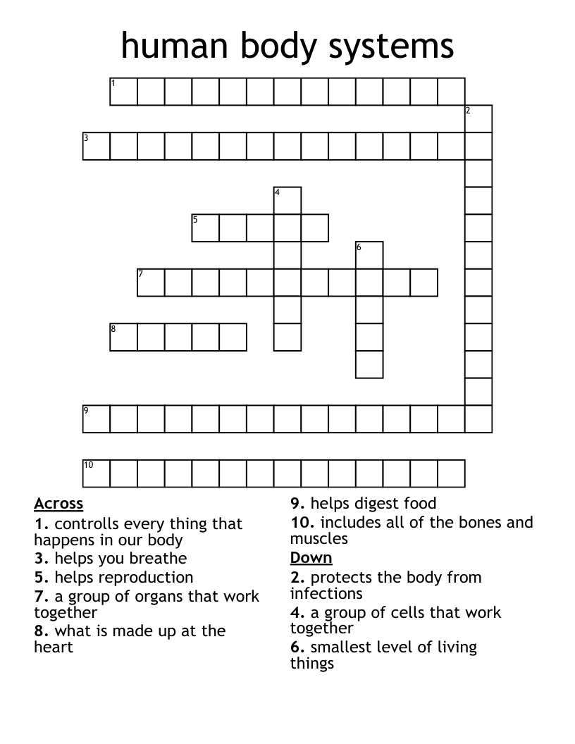 human body systems Crossword