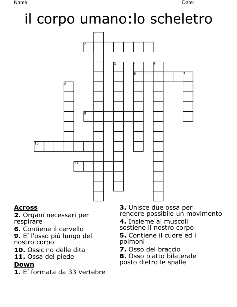 il corpo umano:lo scheletro Crossword