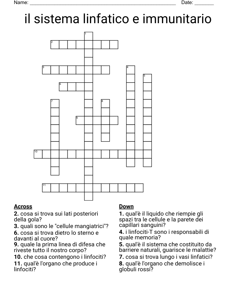 il sistema linfatico e immunitario Crossword