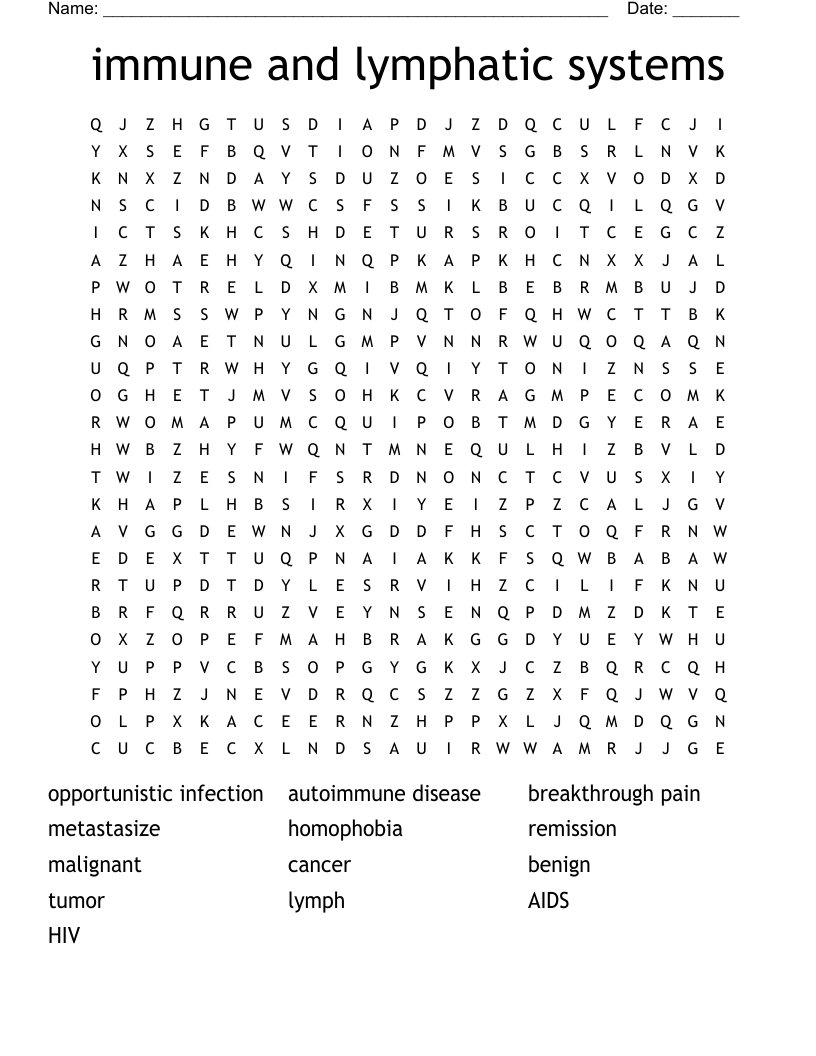 immune and lymphatic systems  Word Search