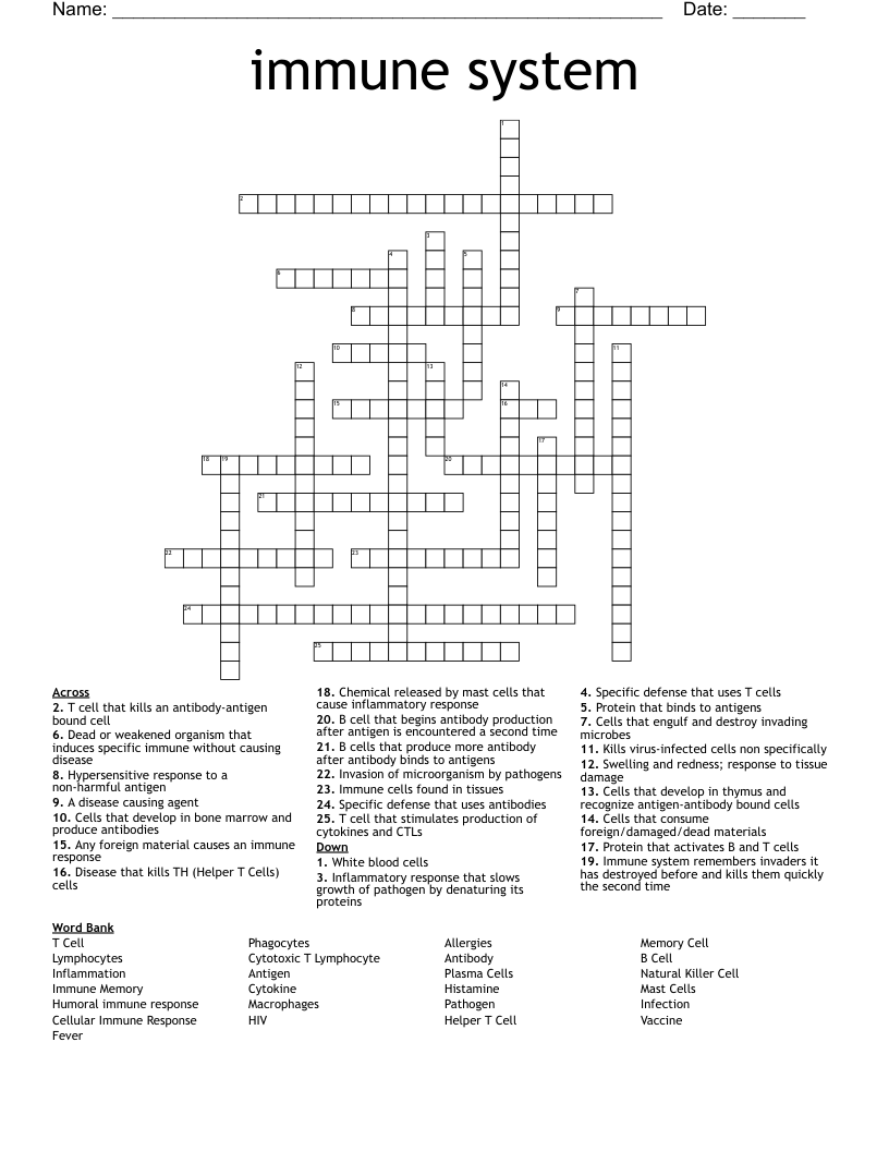 immune system Crossword