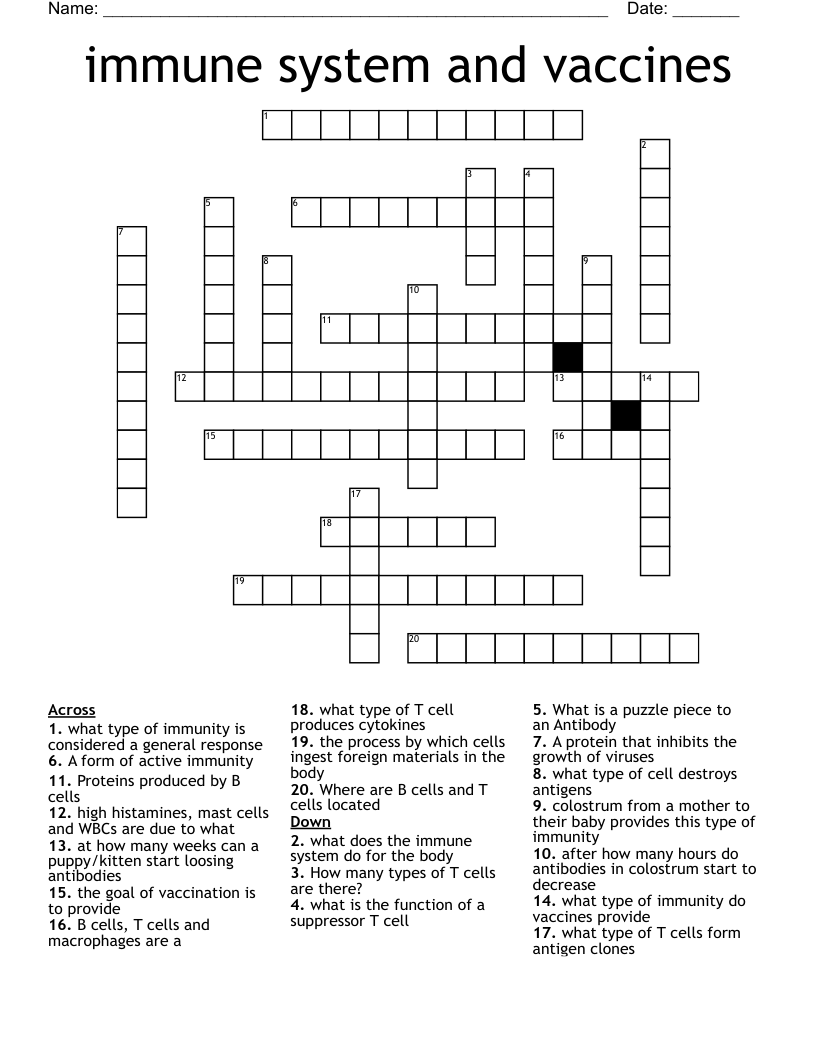 immune system and vaccines Crossword