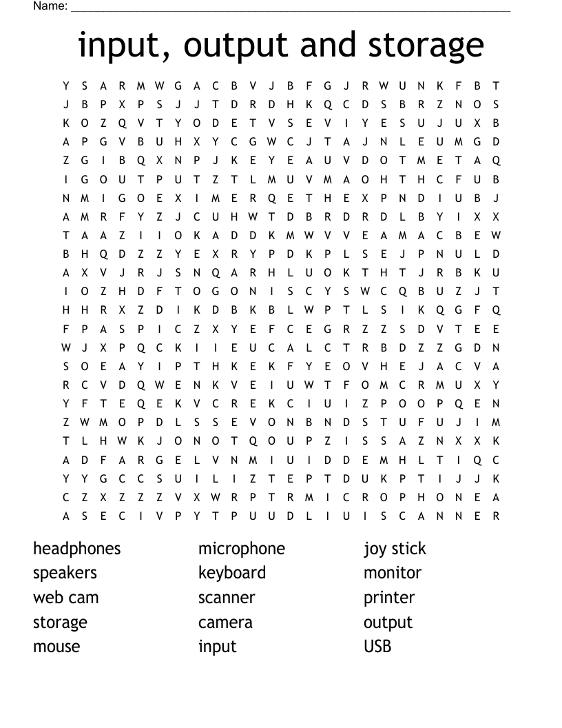 input, output and storage Word Search