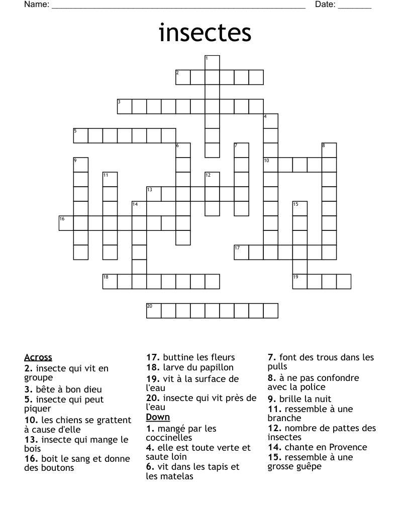 insectes Crossword