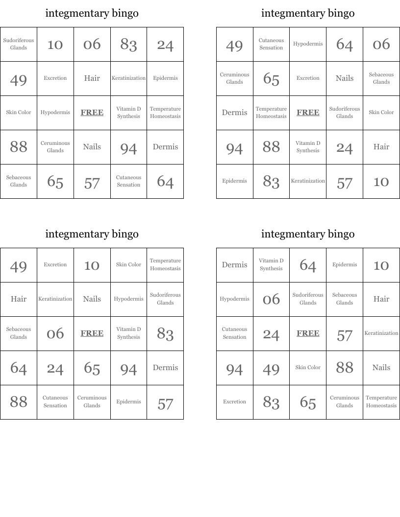 integmentary bingo