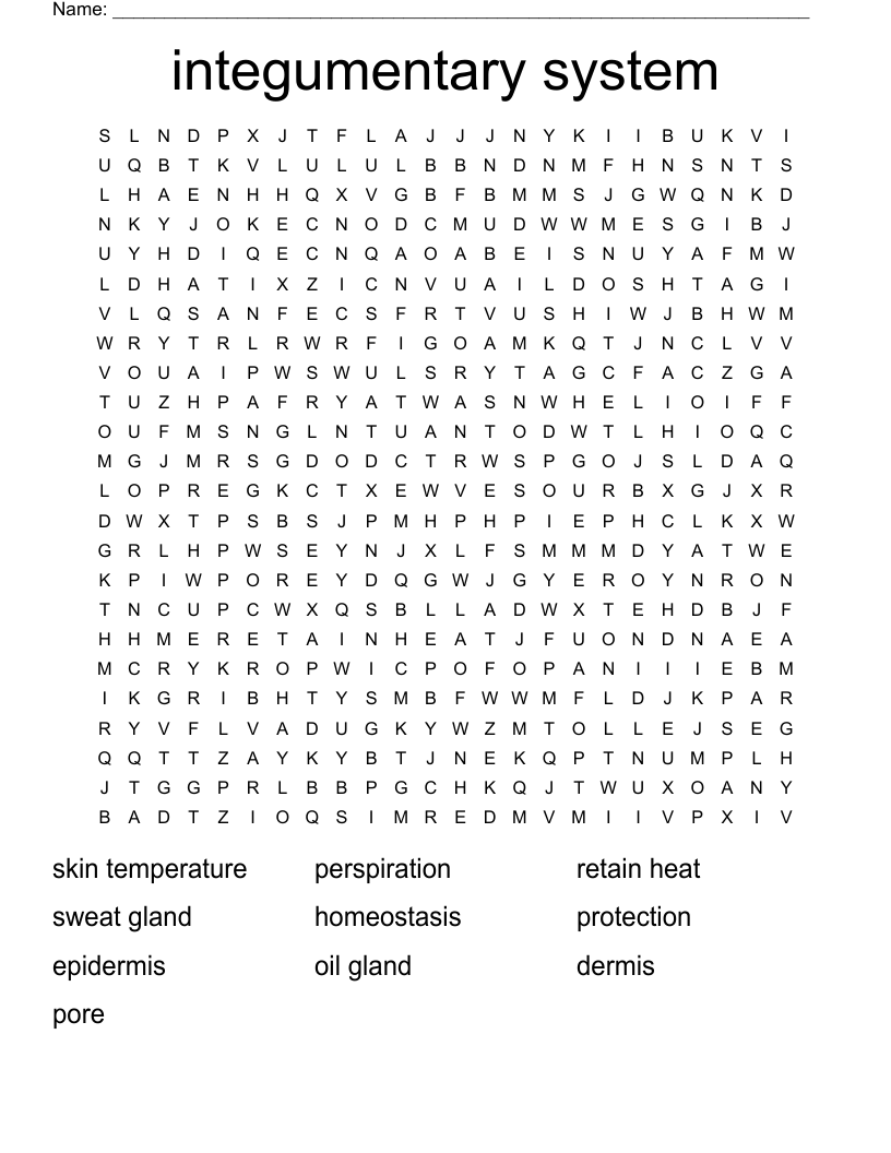 integumentary system Word Search