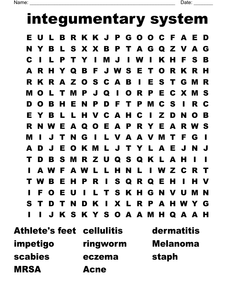 integumentary system  Word Search