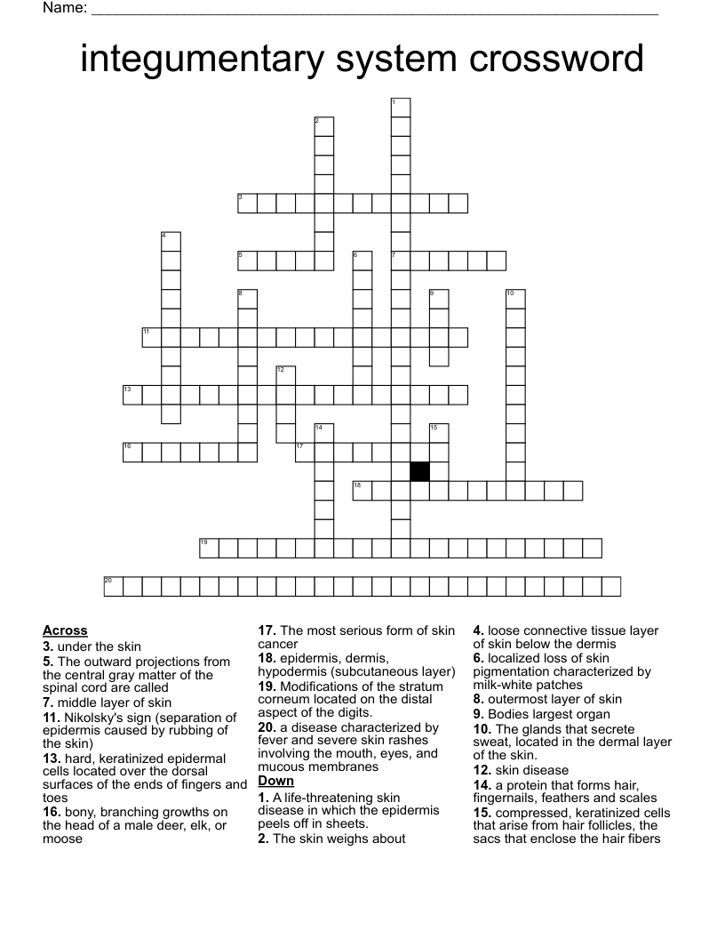 integumentary system crossword 