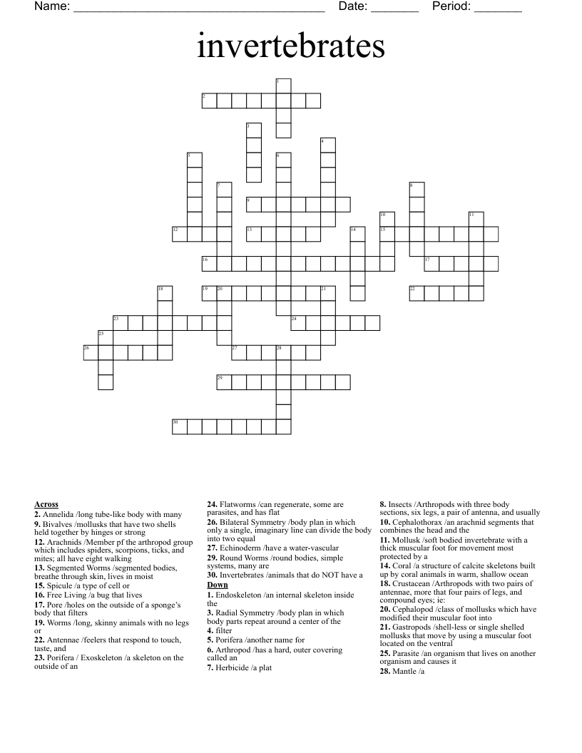 invertebrates Crossword