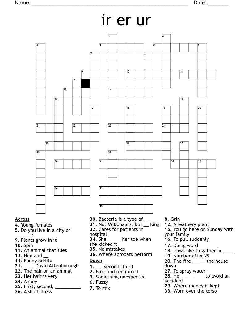 ir er ur Crossword