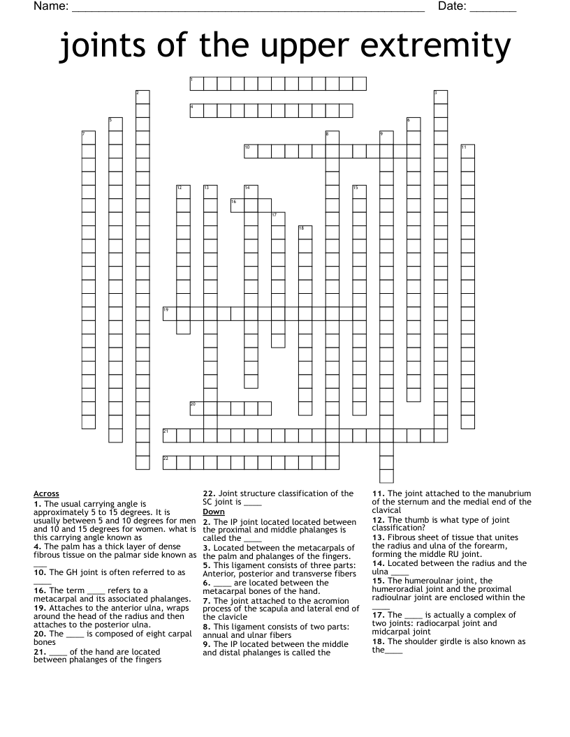 joints of the upper extremity Crossword